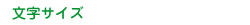 文字サイズ大